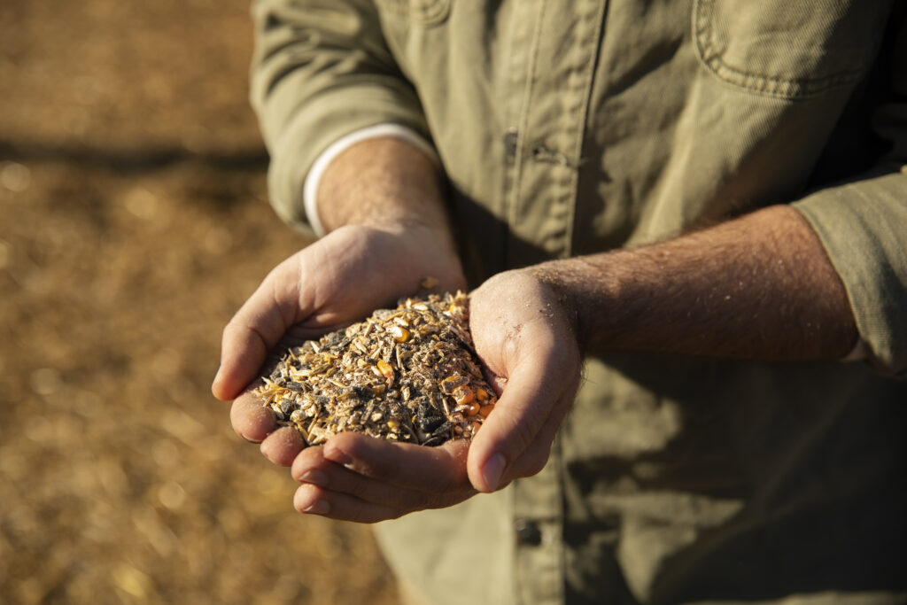 A imagem exibe um homem segurando algumas sementes em sua mão